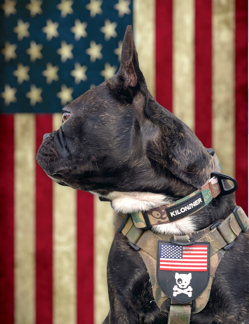 Strike Collar - KiloNiner Pets-Collar-Ardent Patriot Apparel Co.