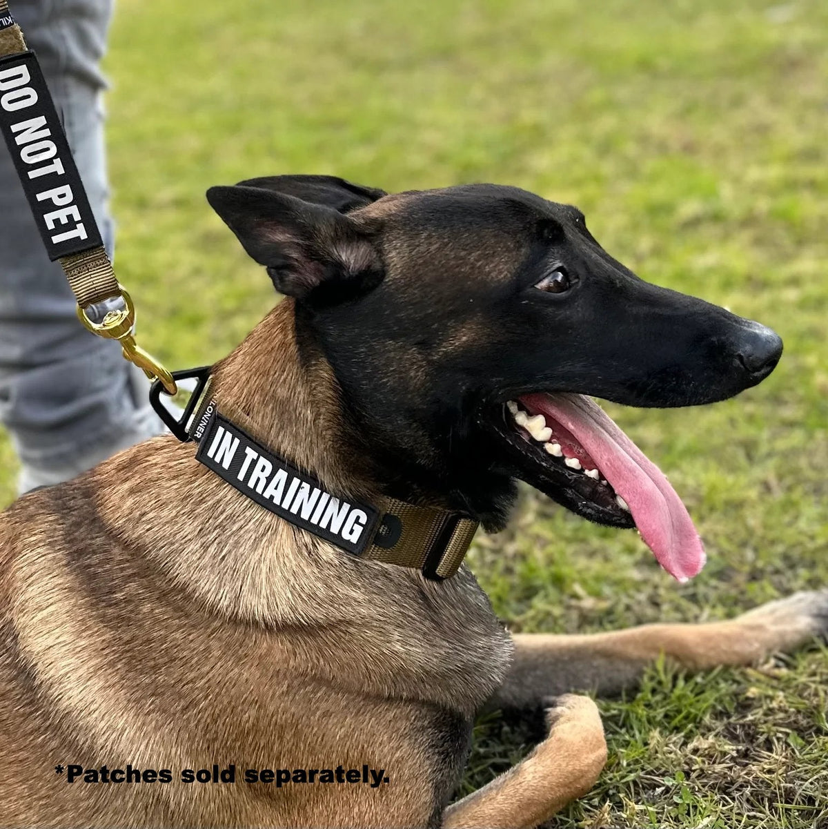 K9R - BCH Big Dog Collar Heavy Duty - KiloNiner Pets-Collar-Ardent Patriot Apparel Co.