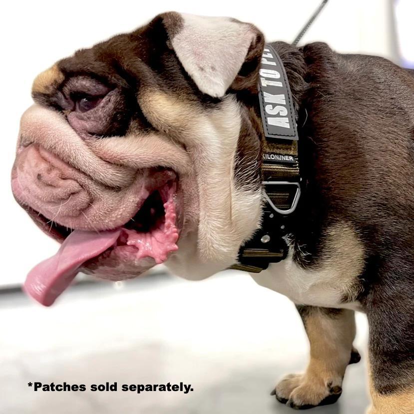 K9R - BCH Big Dog Collar Heavy Duty - KiloNiner Pets-Collar-Ardent Patriot Apparel Co.