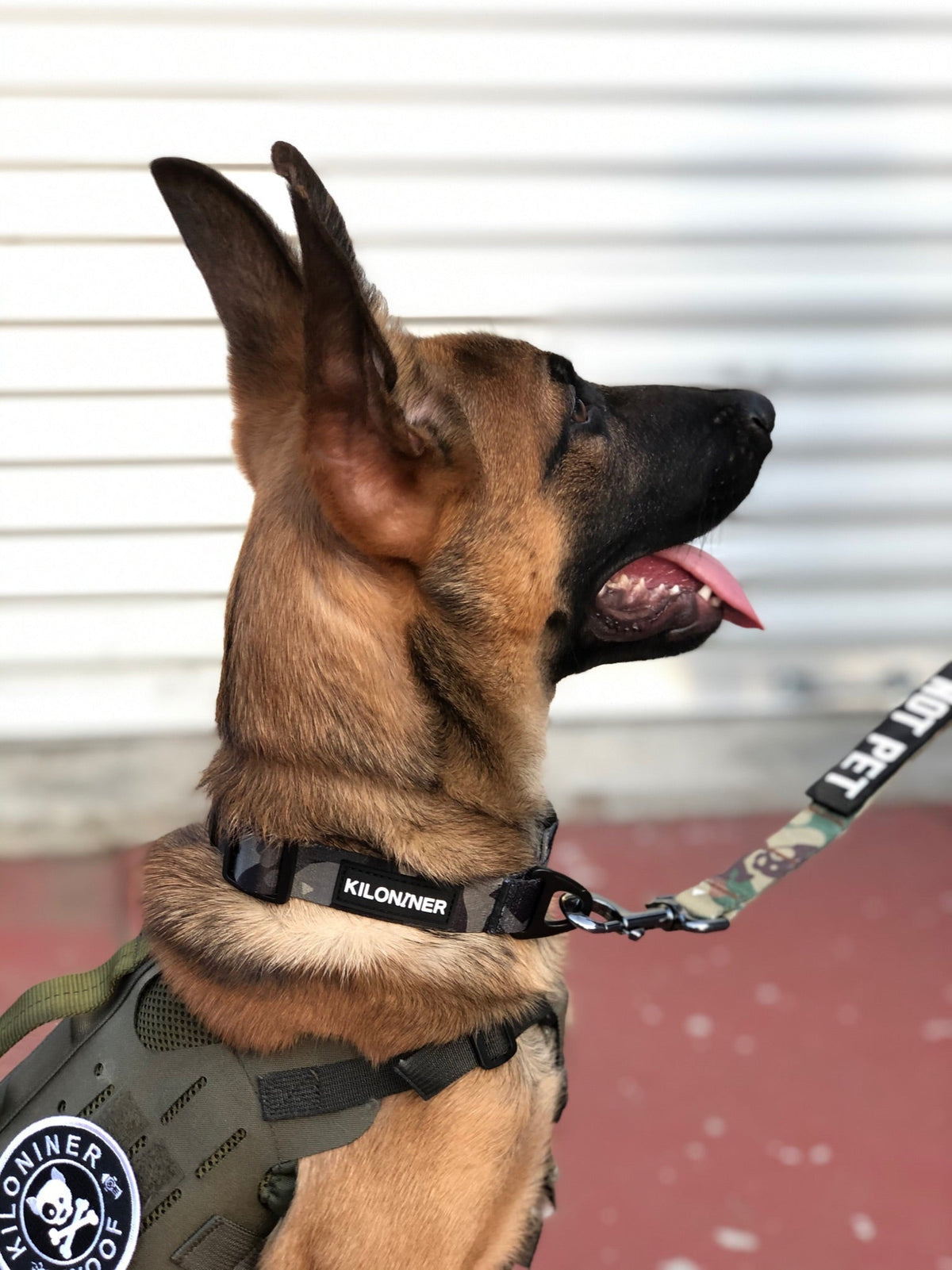 Strike Collar - KiloNiner Pets-Collar-Ardent Patriot Apparel Co.