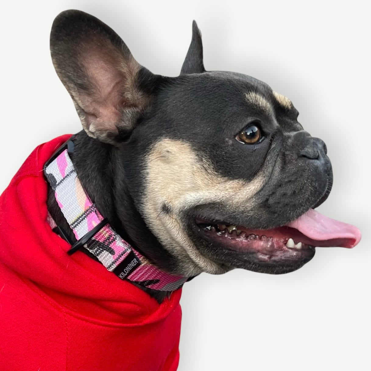 K9R - M2C Lightspeed Collar - KiloNiner Pets-Collar-Ardent Patriot Apparel Co.