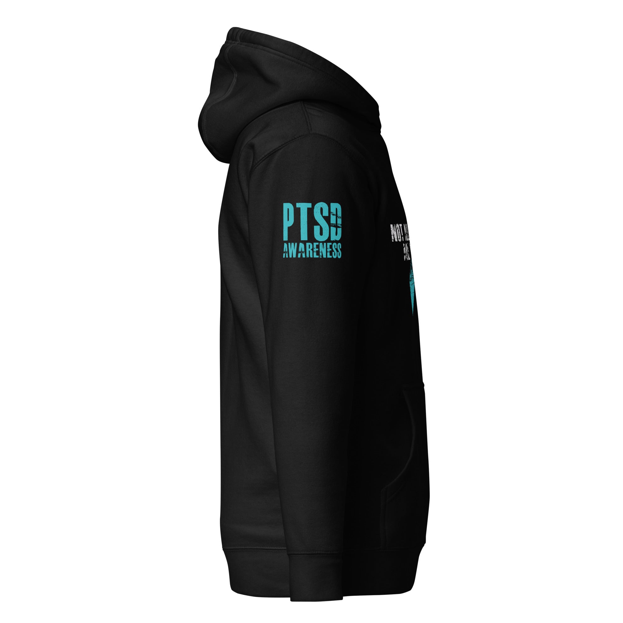 PTSD Not All Wounds Hoodie-Premium Hoodie-Ardent Patriot Apparel Co.