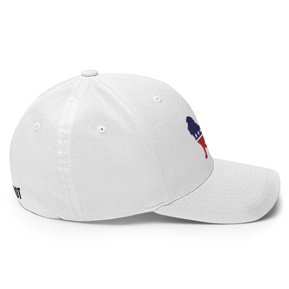 The Patriot Party Flexfit Hat-Hats-Ardent Patriot Apparel Co.